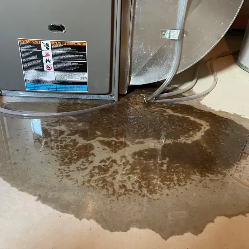 Appliance Leak Cleanup in Malvern, AL